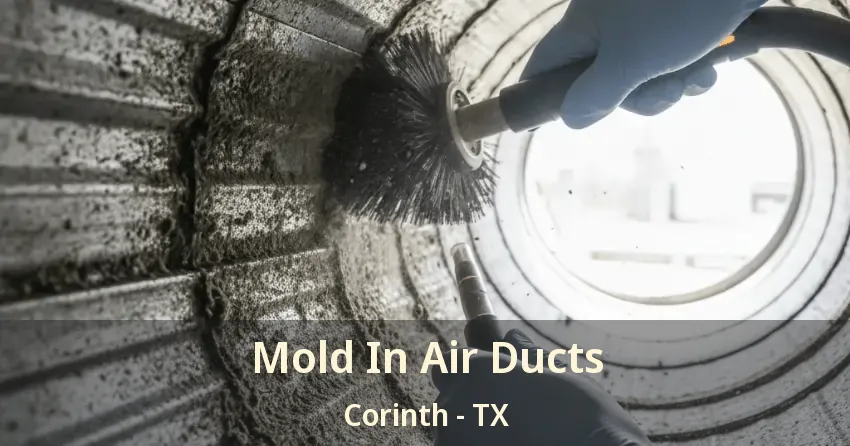 Mold In Air Ducts Corinth - TX