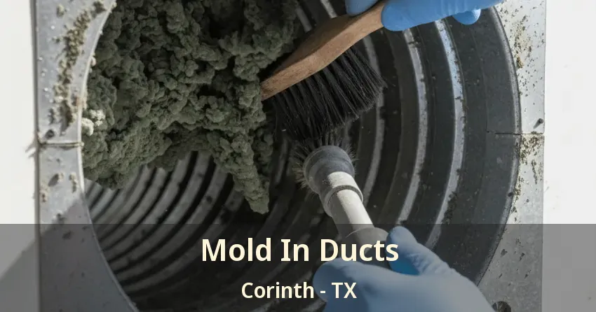 Mold In Ducts Corinth - TX